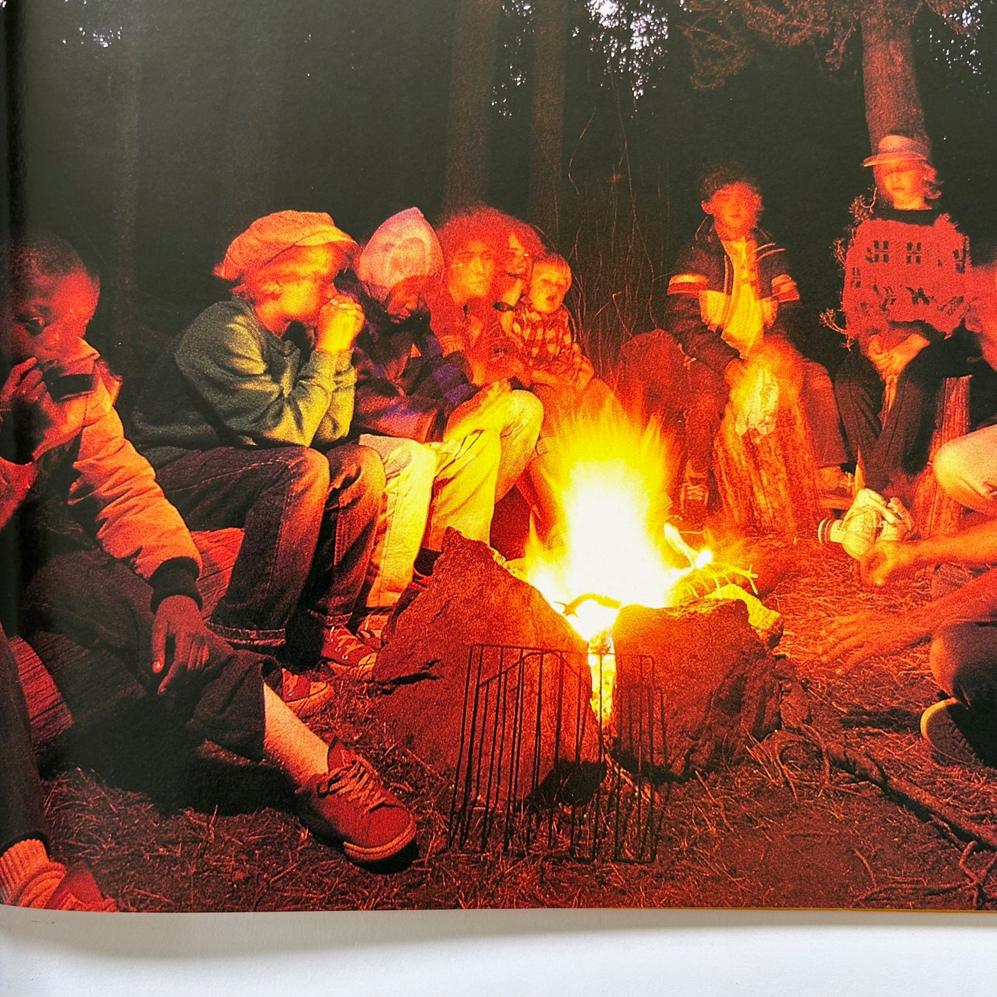 Adventures in Your National Parks