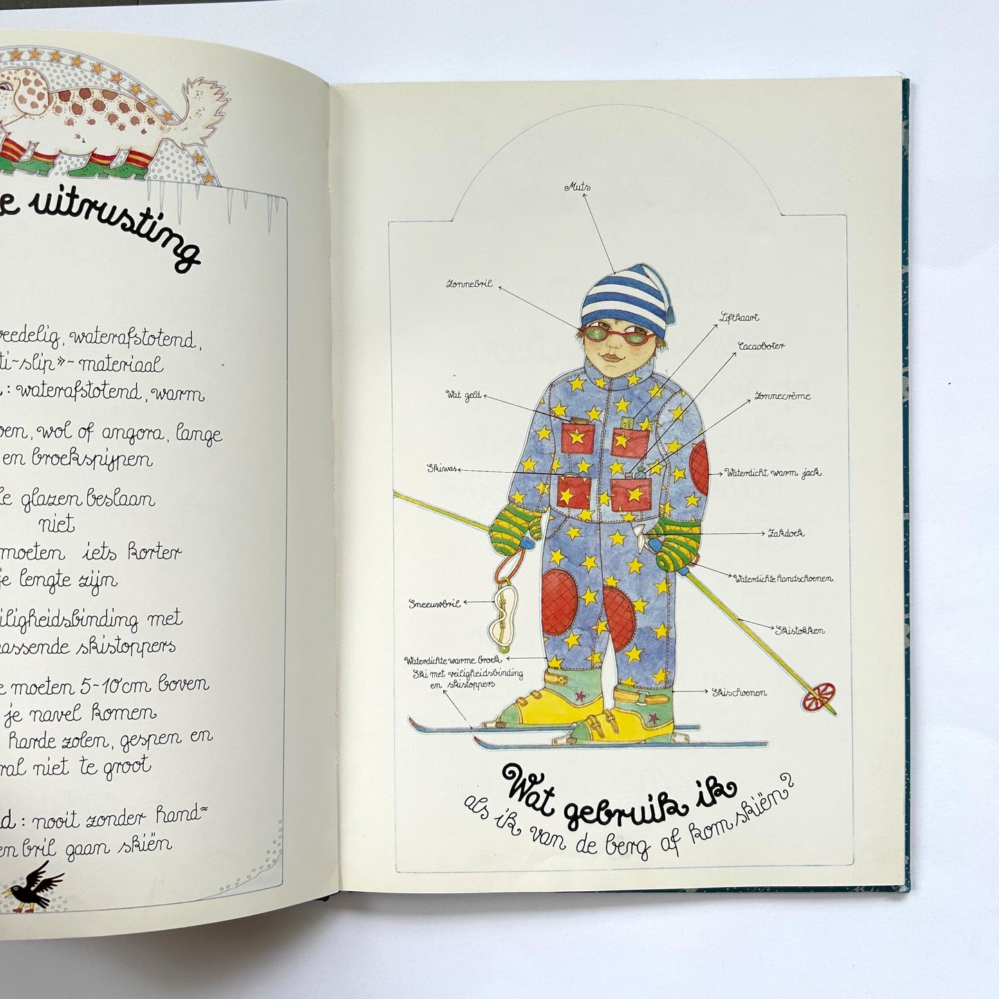 Het grote boek voor de kliene skier (Big Book For the Little Skier)