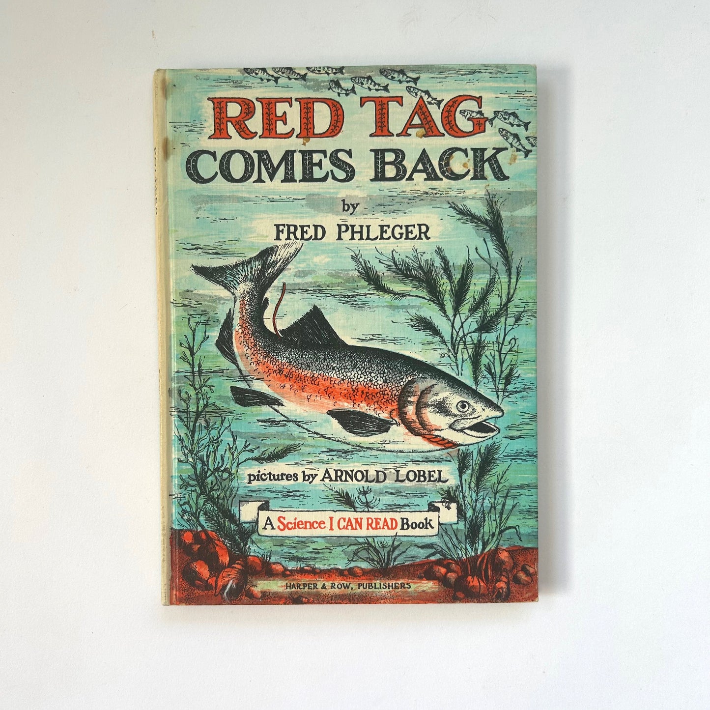 Red Tag Comes Back