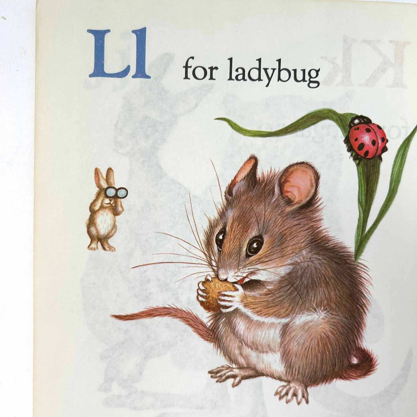 Bunnies' ABC