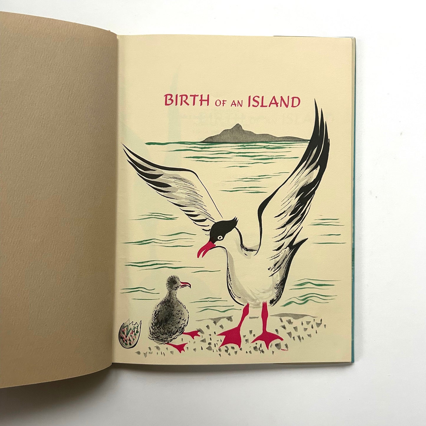 Birth of an Island