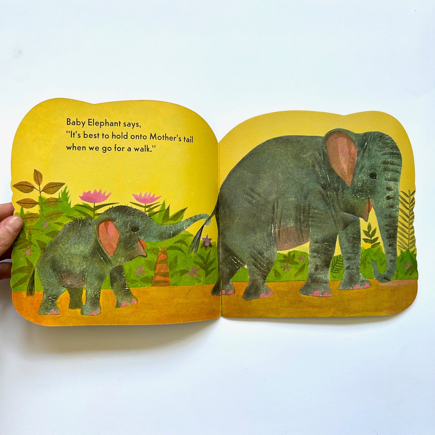 The Elephant Book