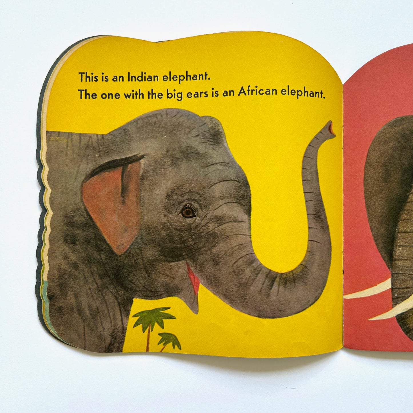 The Elephant Book