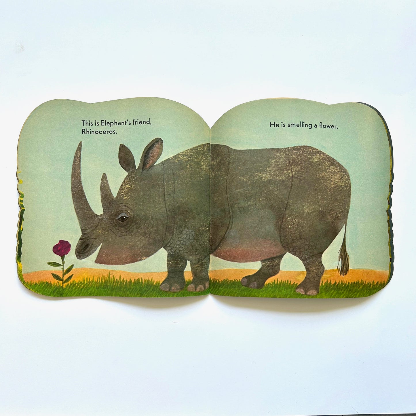 The Elephant Book