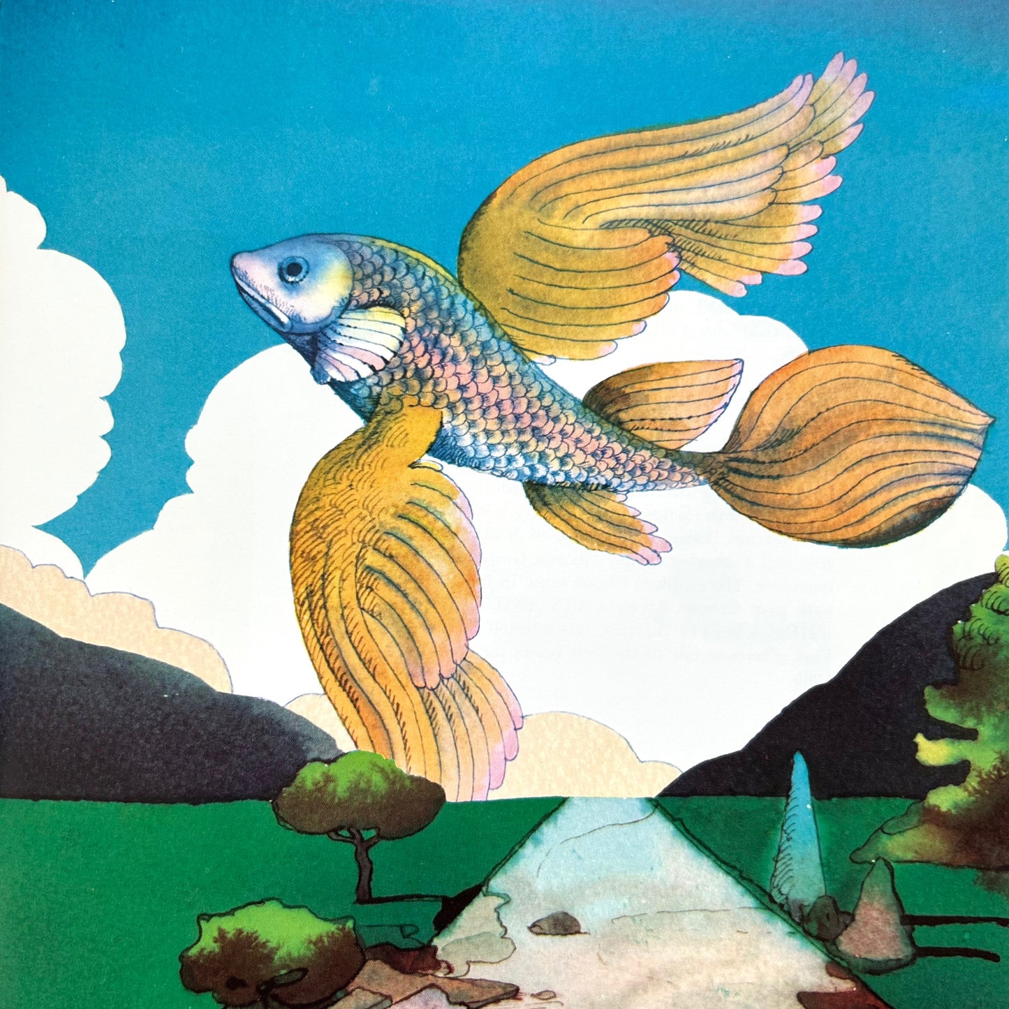 Fish in the Sky