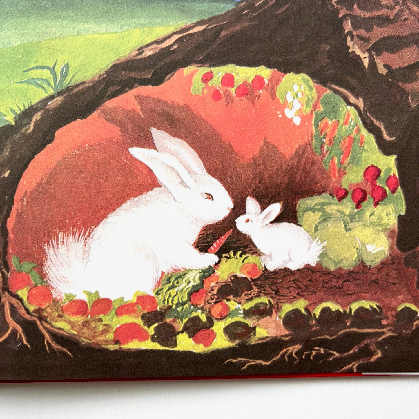 The Runaway Bunny
