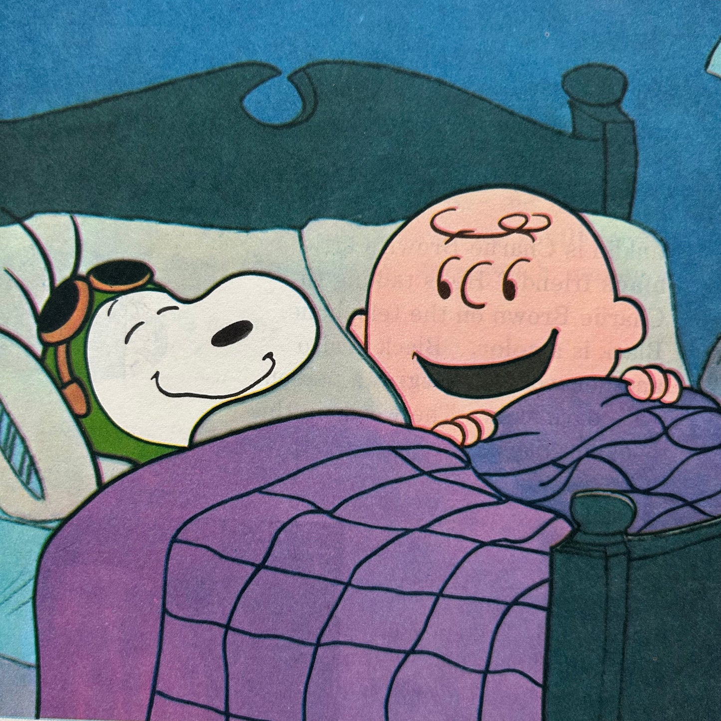 The Charlie Brown Dictionary Volume 1