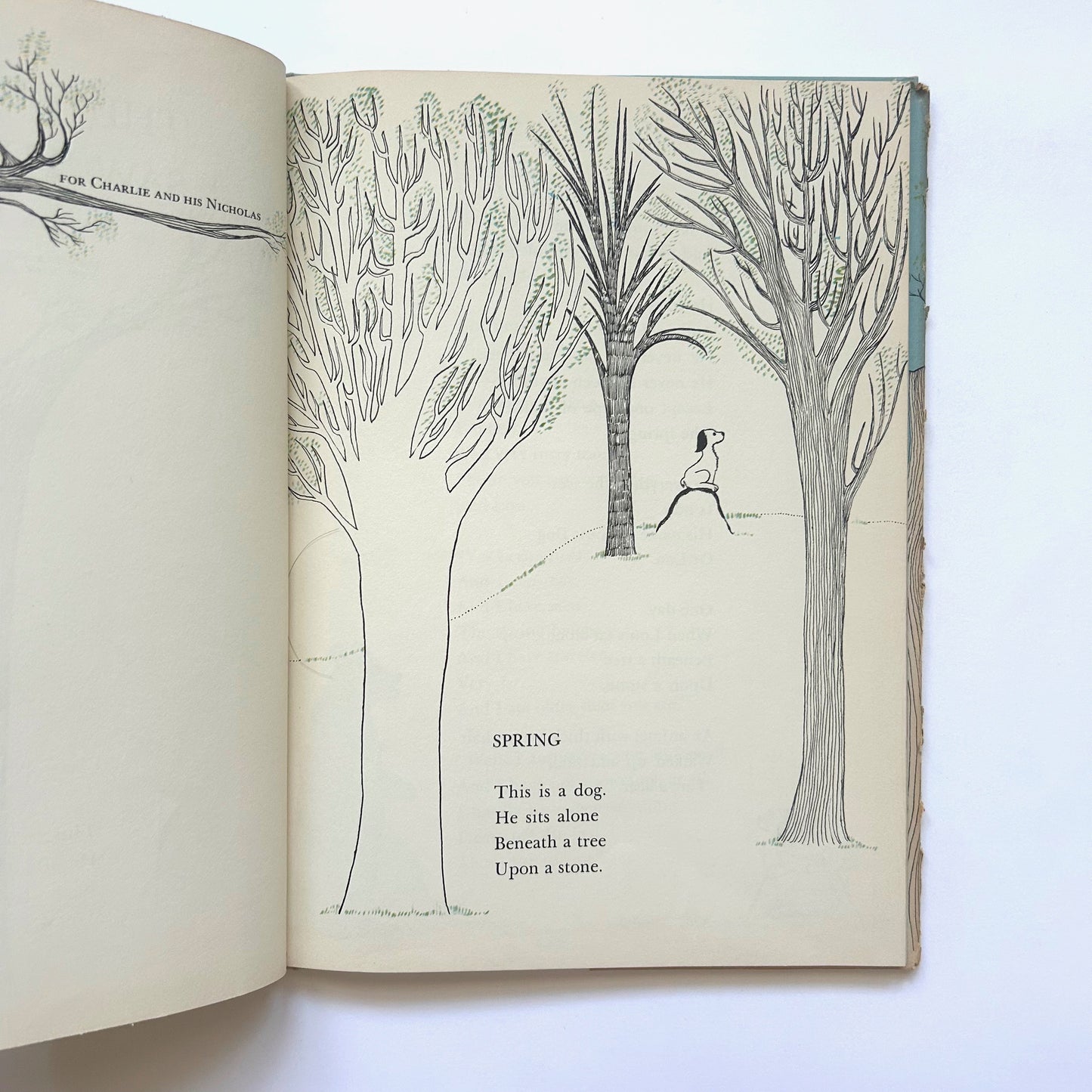 The Bear Who Saw the Spring