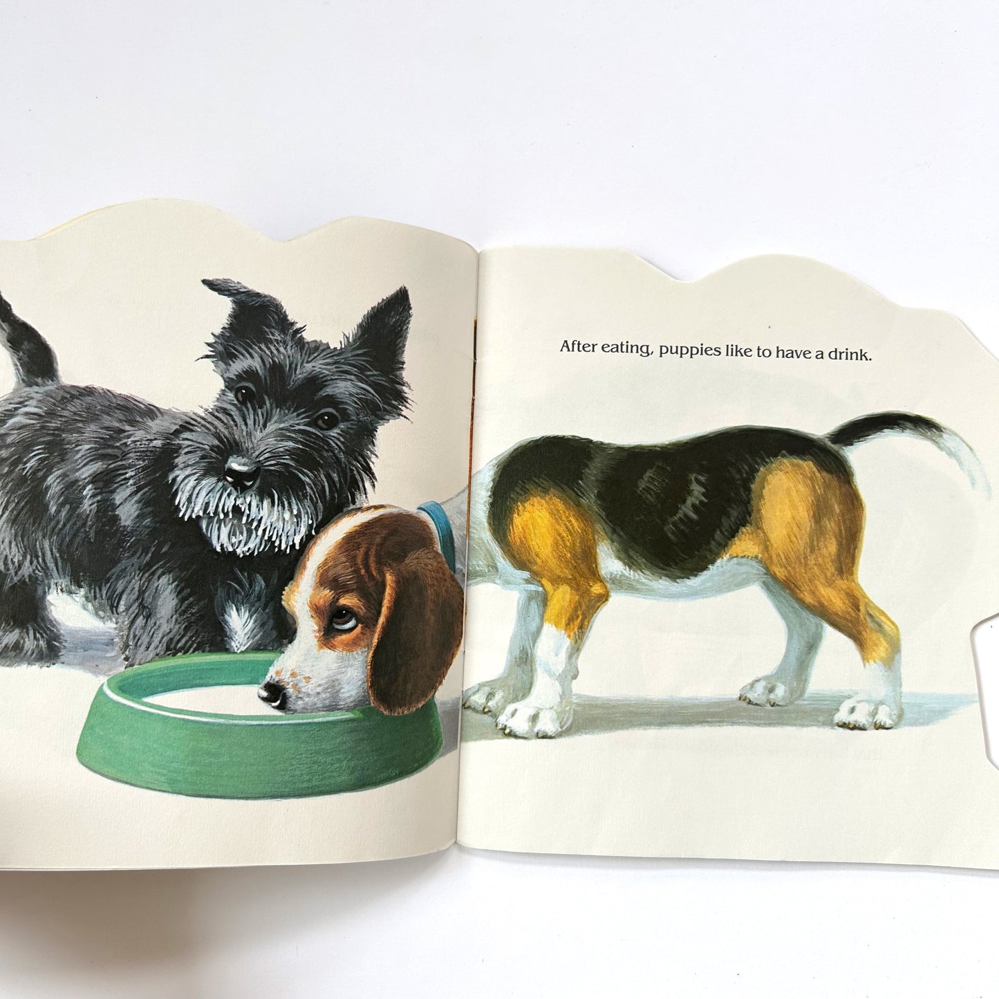 The Puppy Book