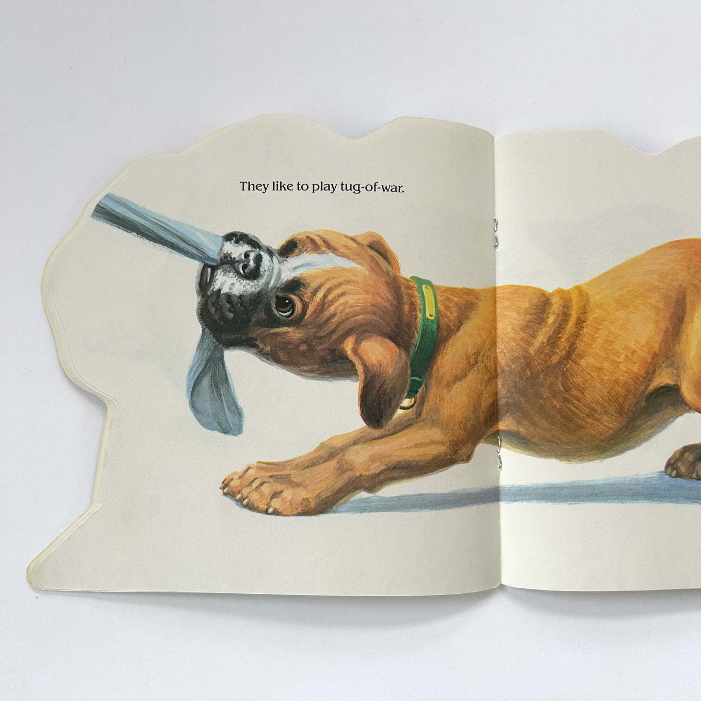 The Puppy Book