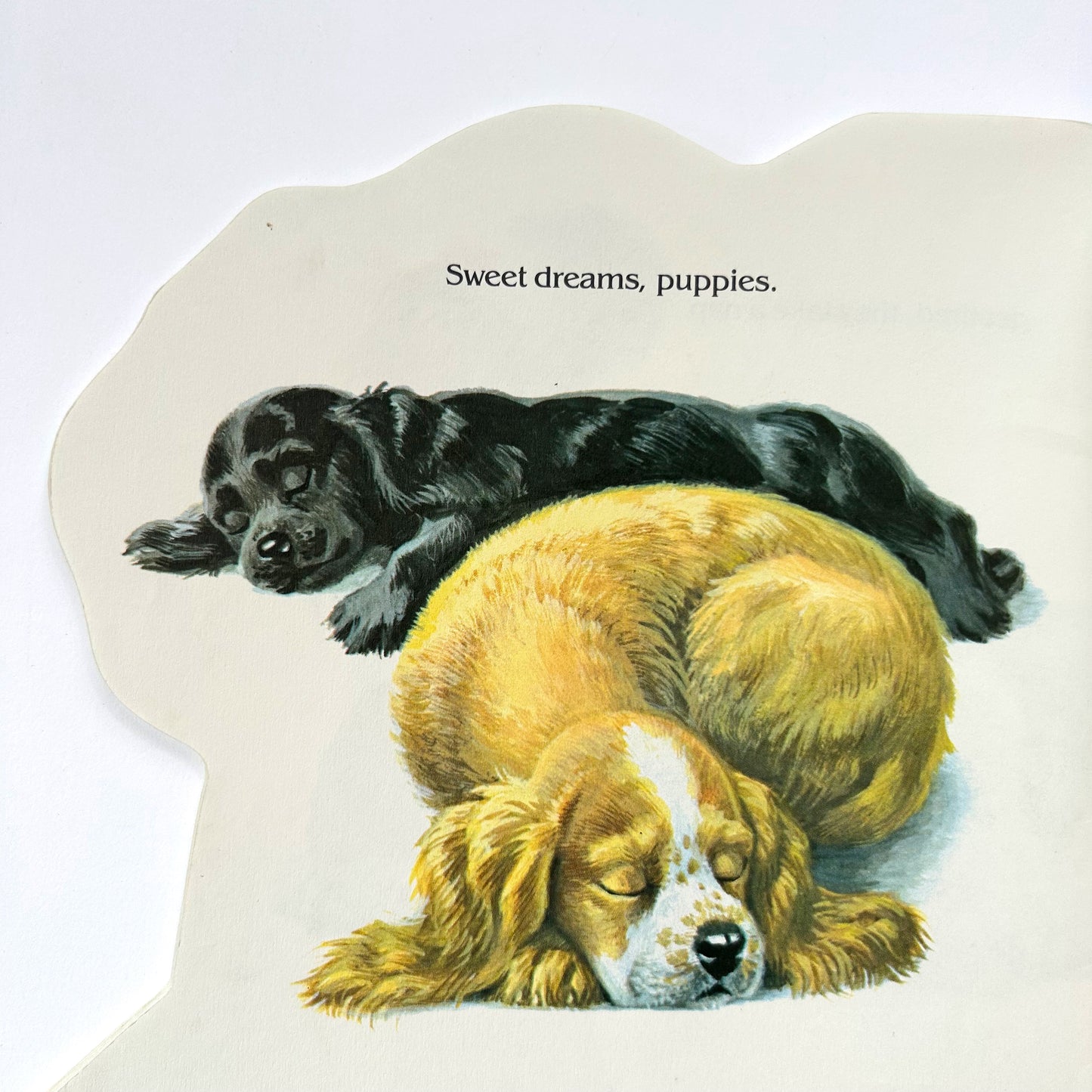 The Puppy Book