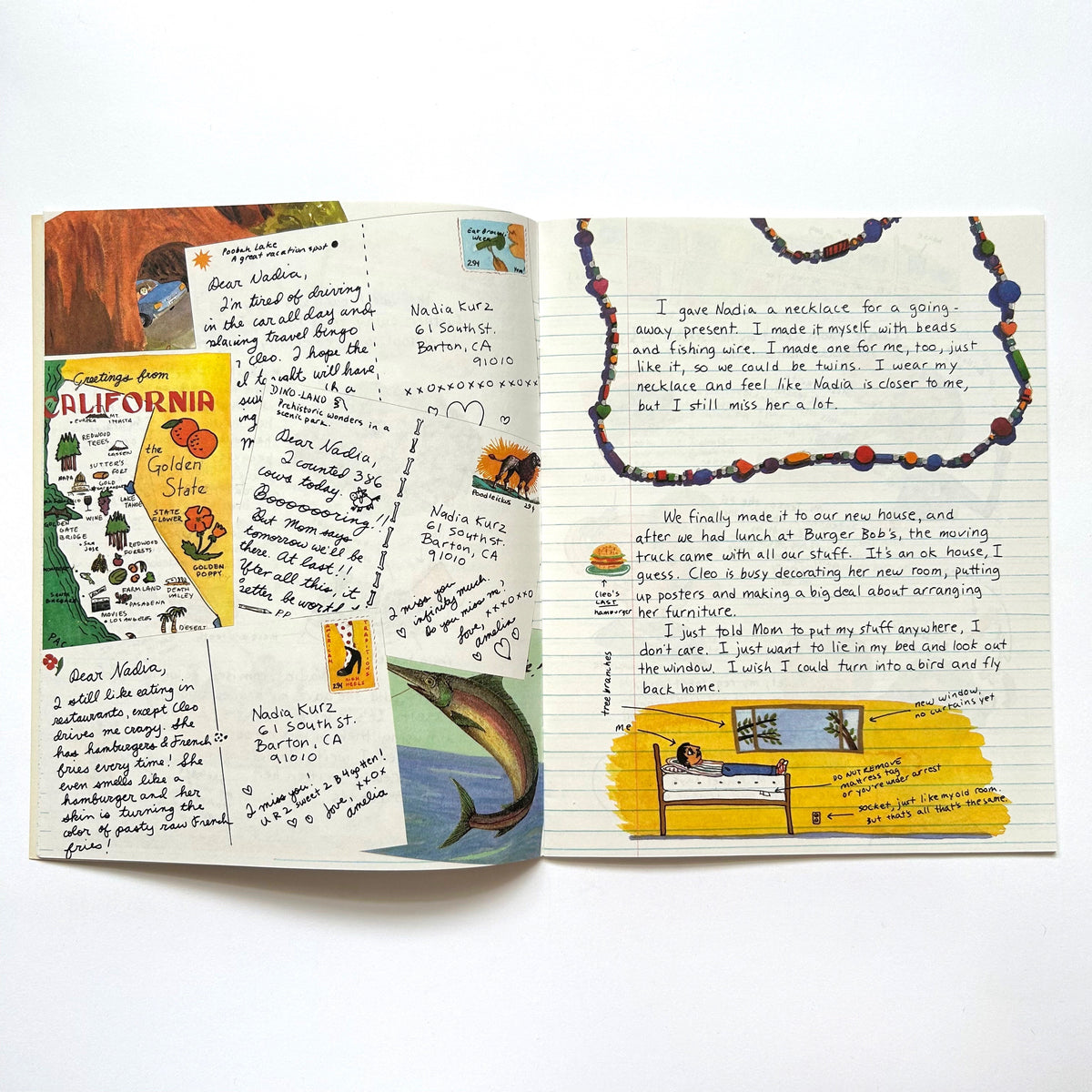 Amelia's Notebook