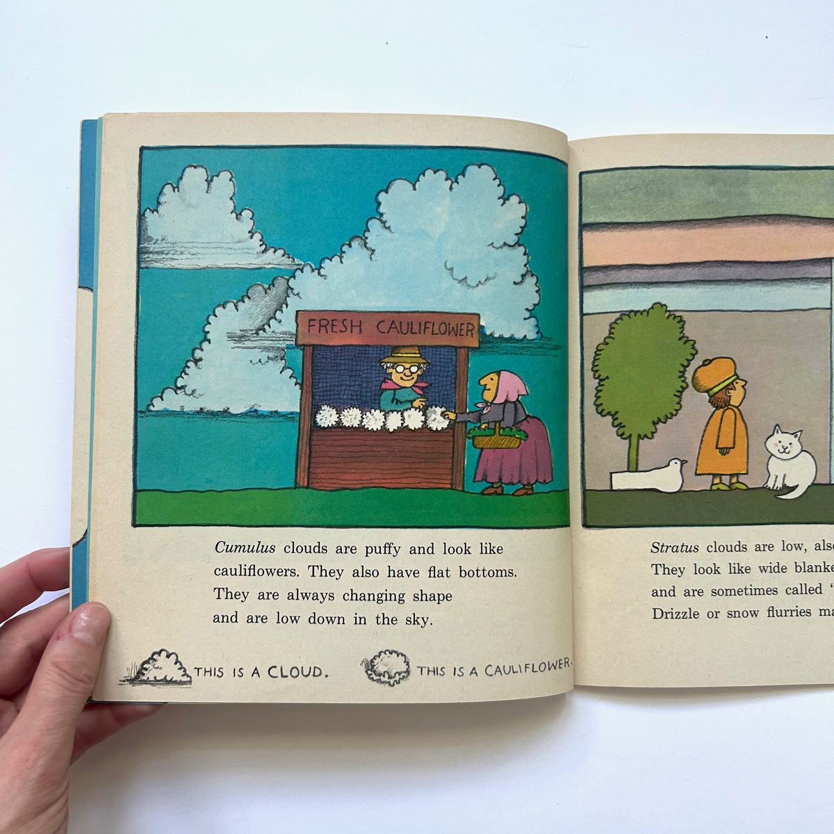 The Cloud Book