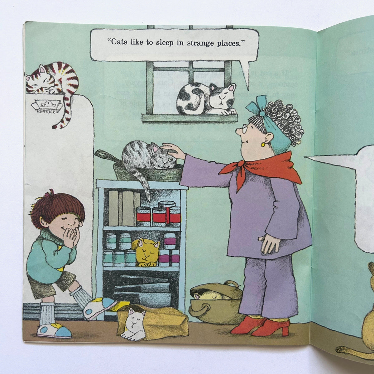 The Kid's Cat Book