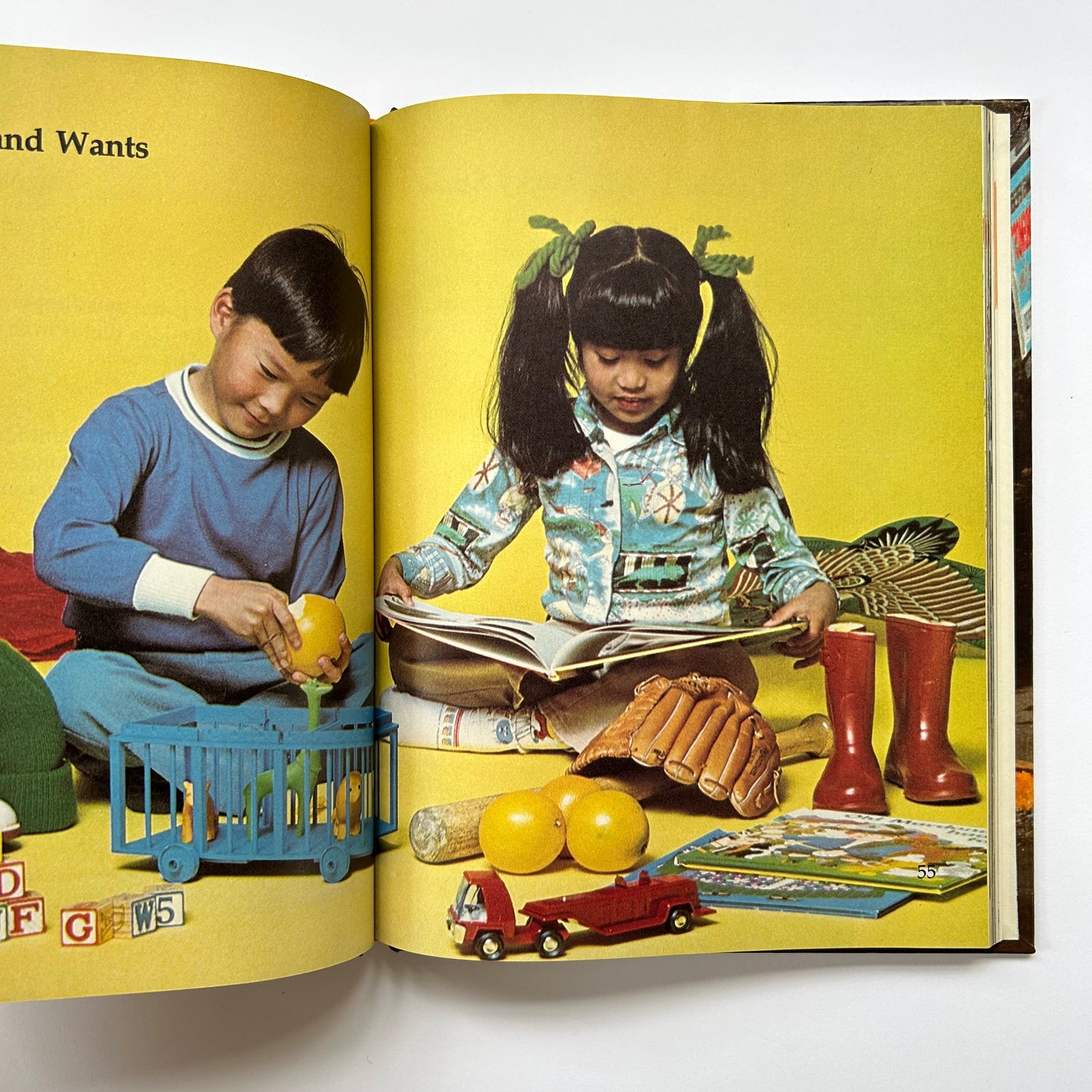 Vintage Social Studies Book