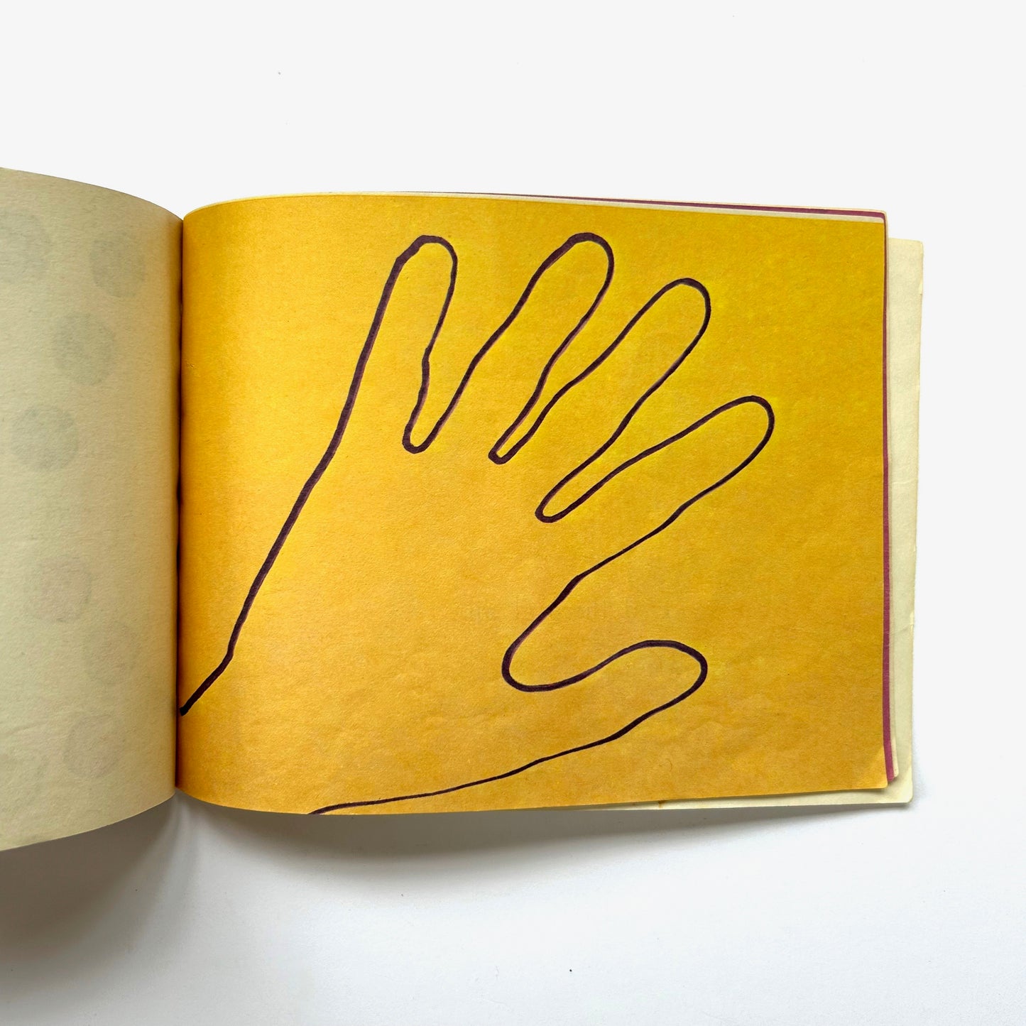 The Magic Mirror Book