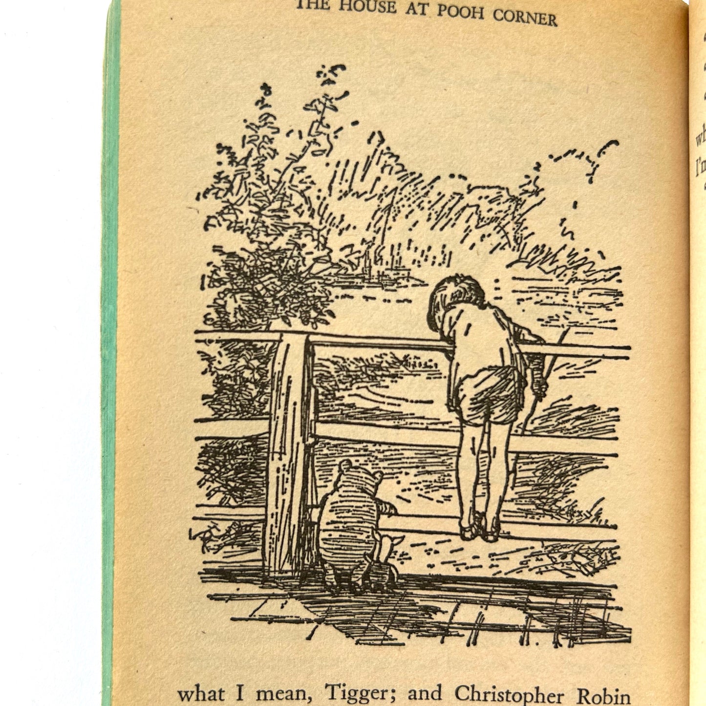 The House at Pooh Corner