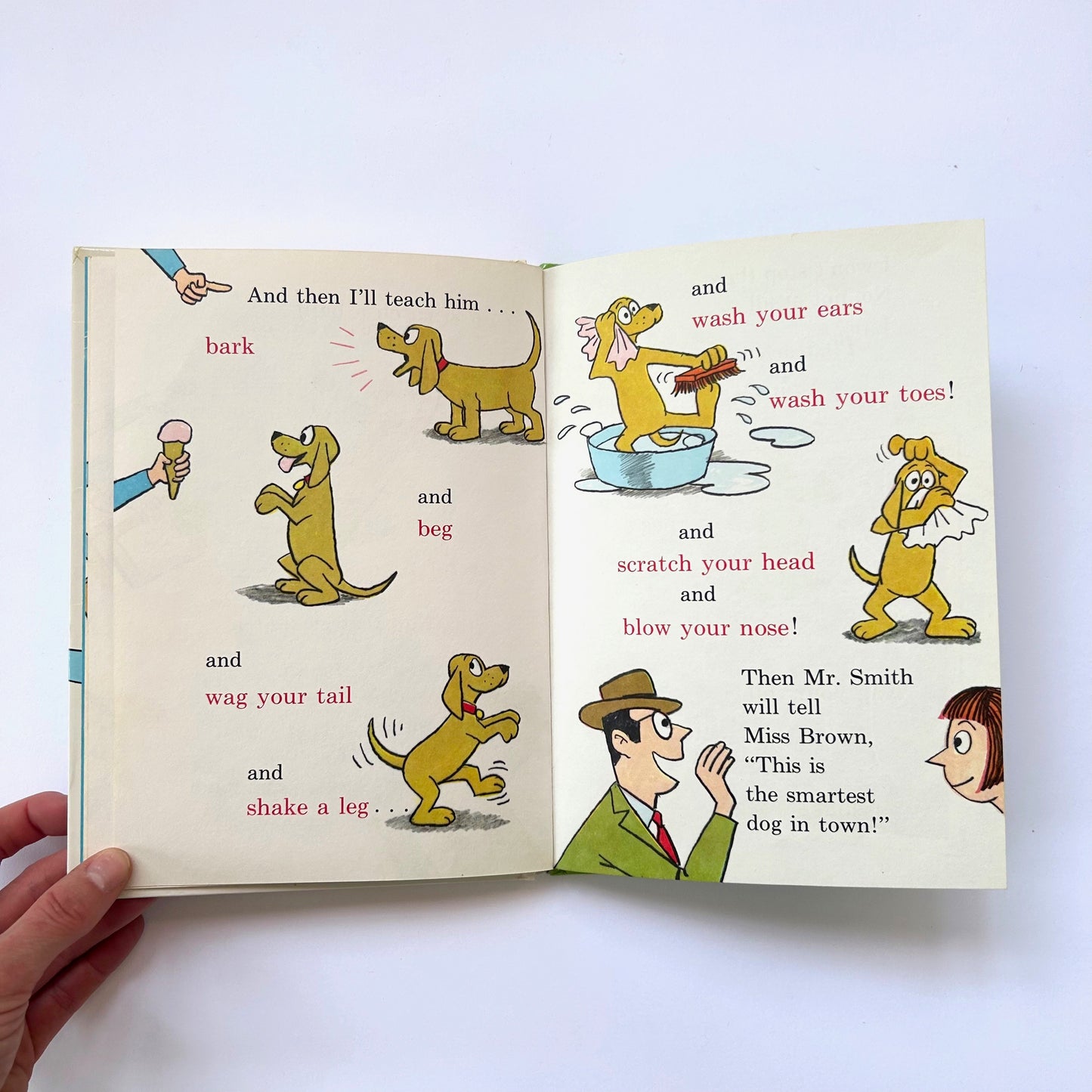 I'll Teach My Dog 100 Words
