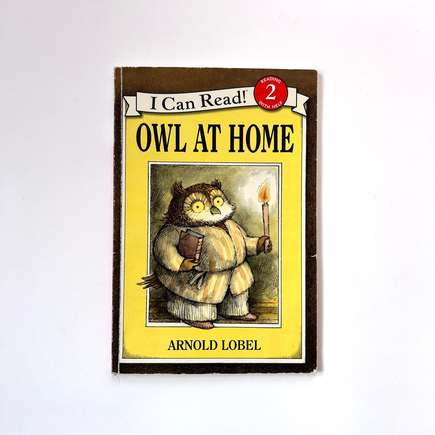 Owl At Home