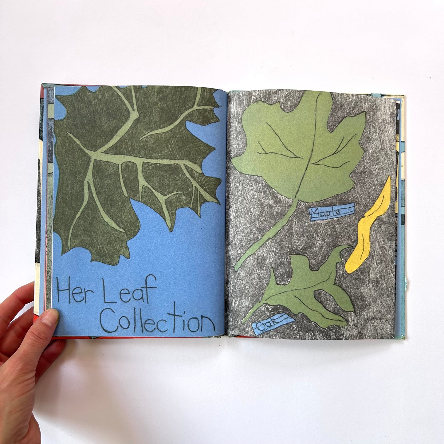Her Book