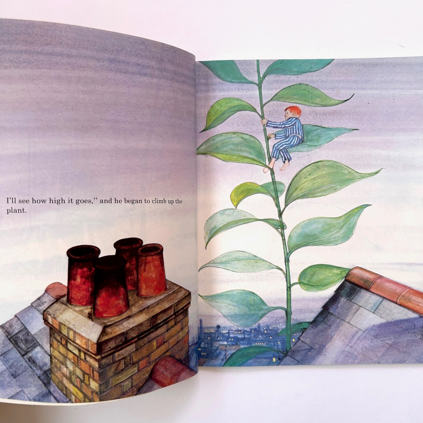 Jim and the Beanstalk
