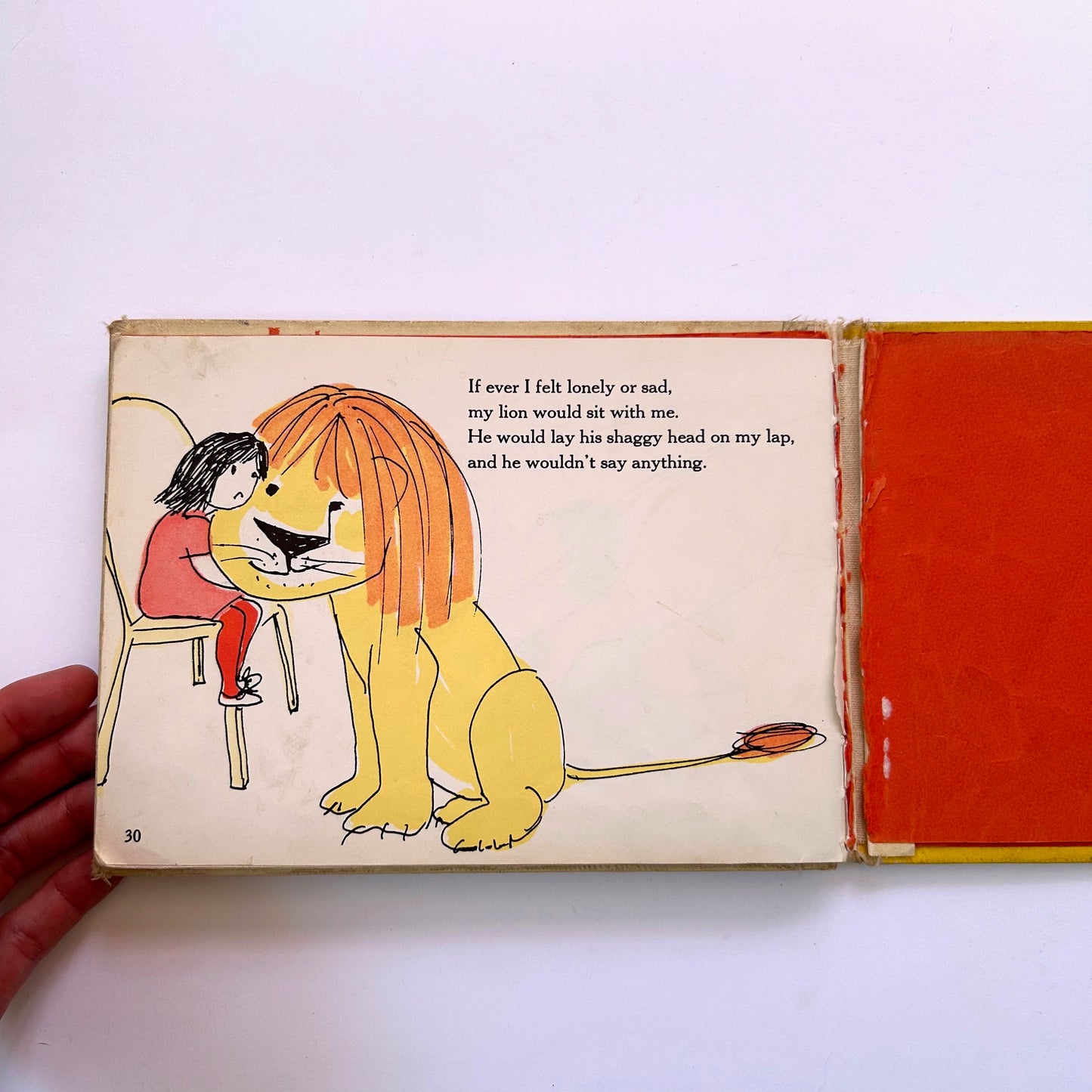 If I Had a Lion