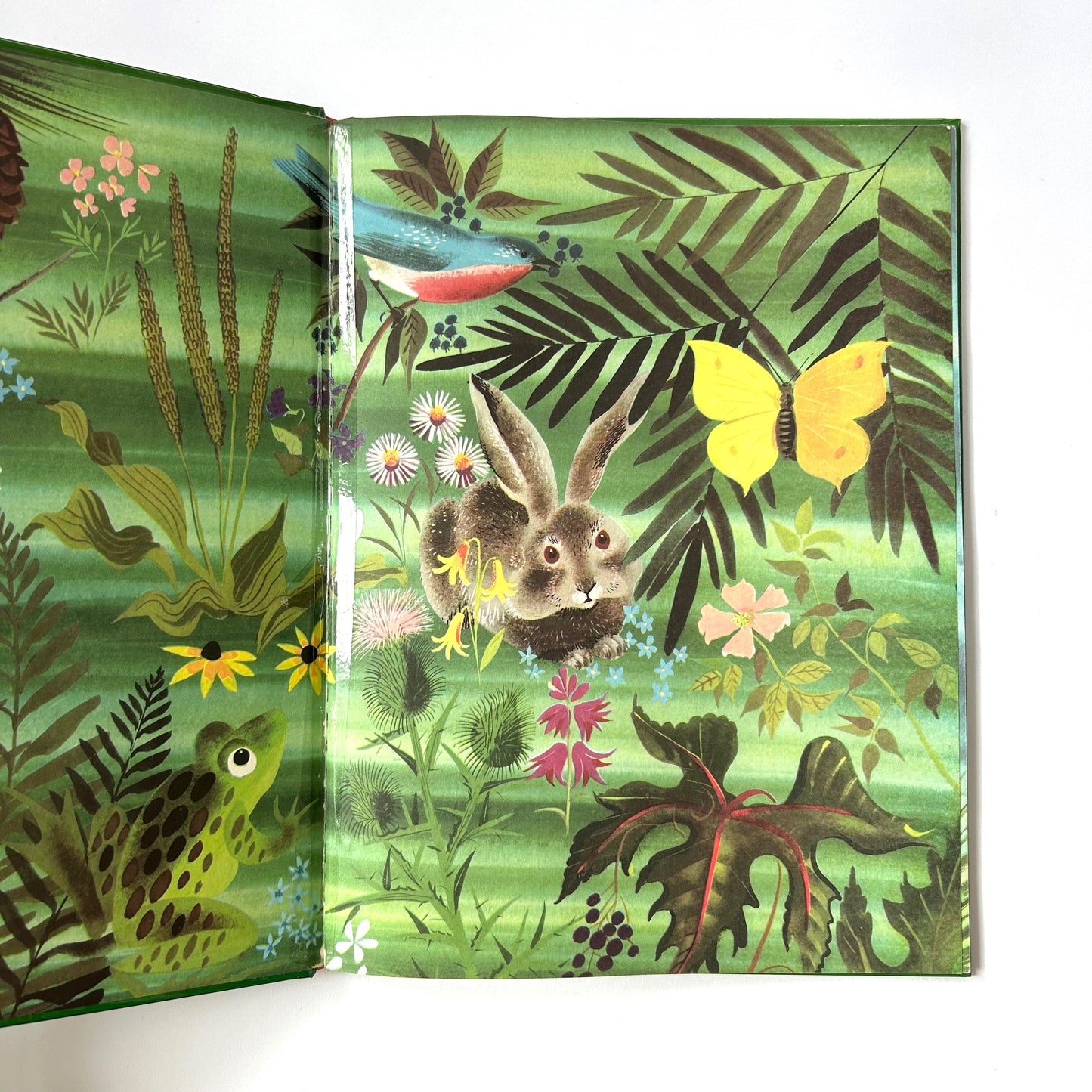 The Golden Egg Book