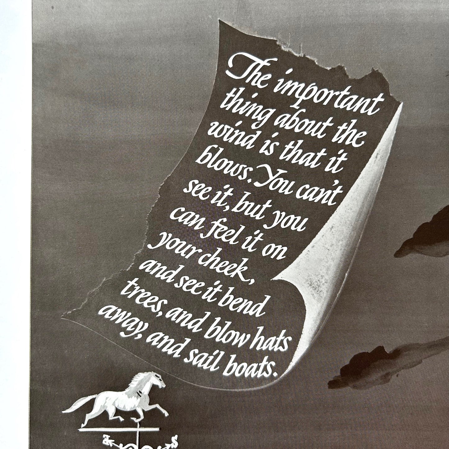 The Important Book