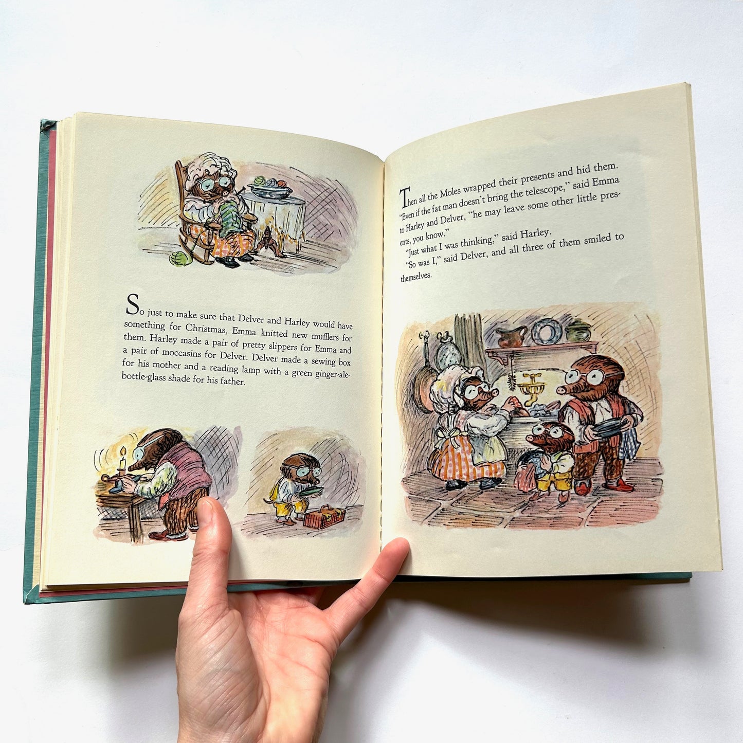 The Mole Family's Christmas