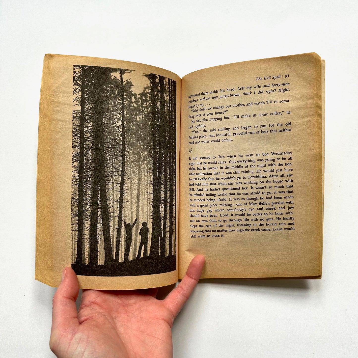 Bridge to Terabithia