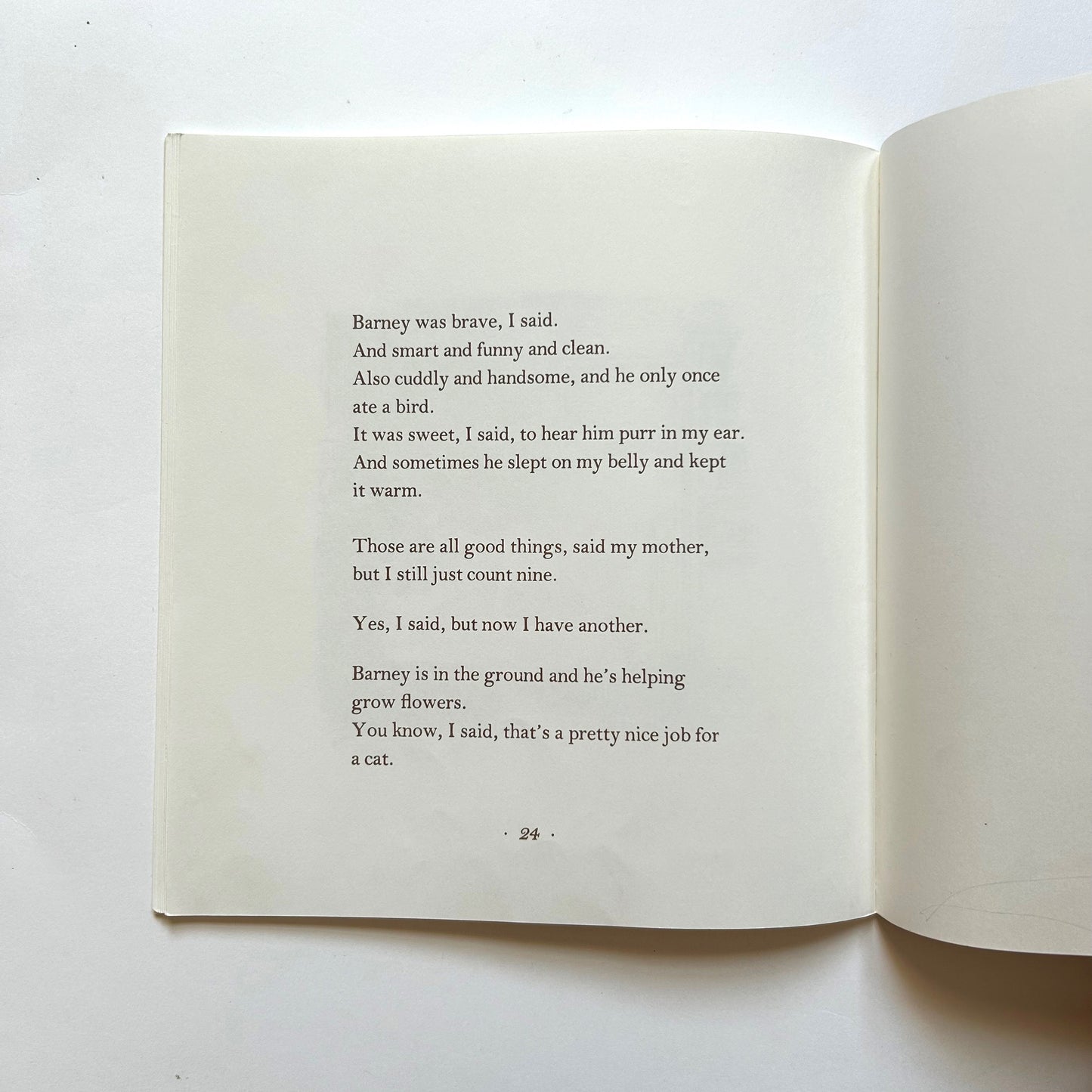 The Tenth Good Thing About Barney