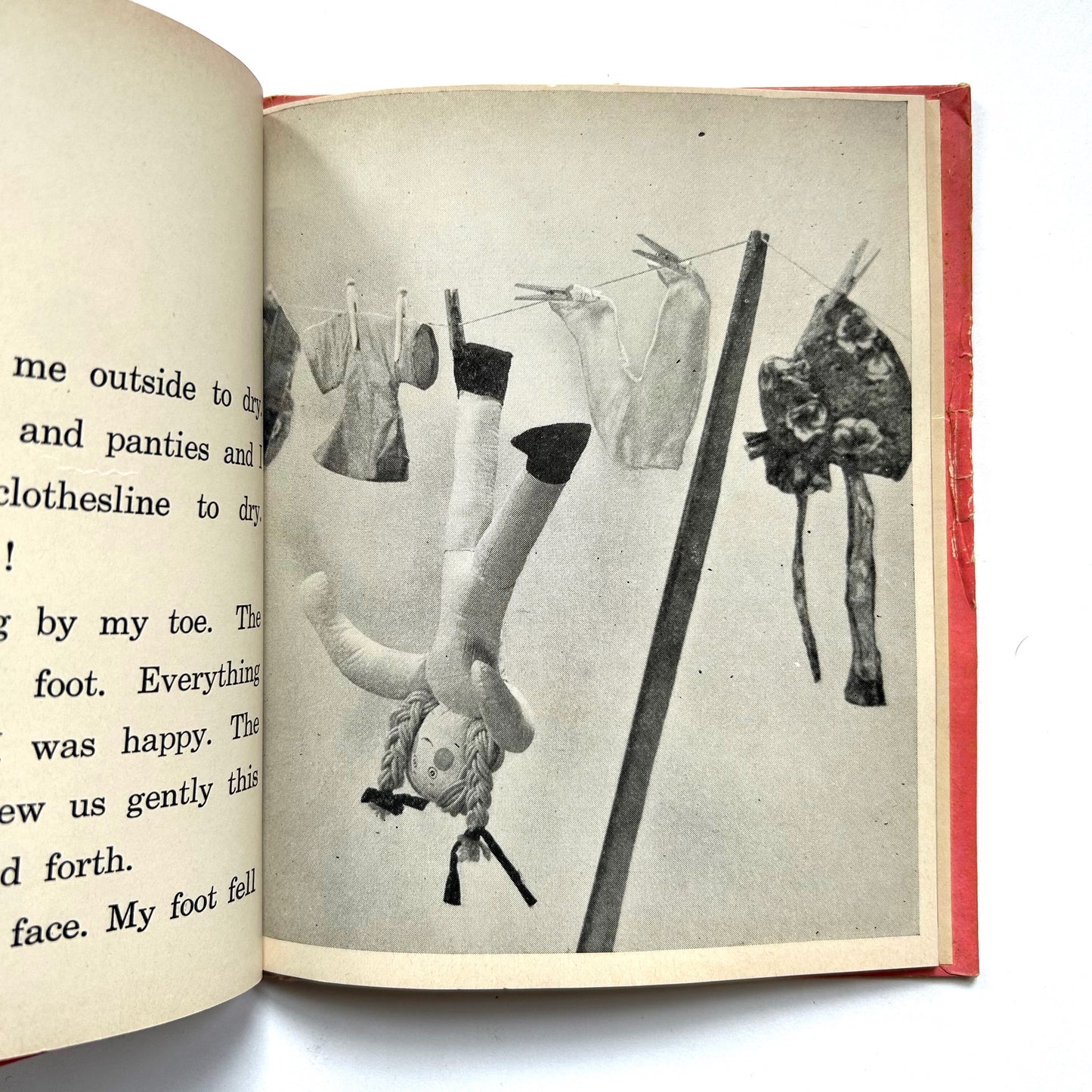 The Story of Delicia