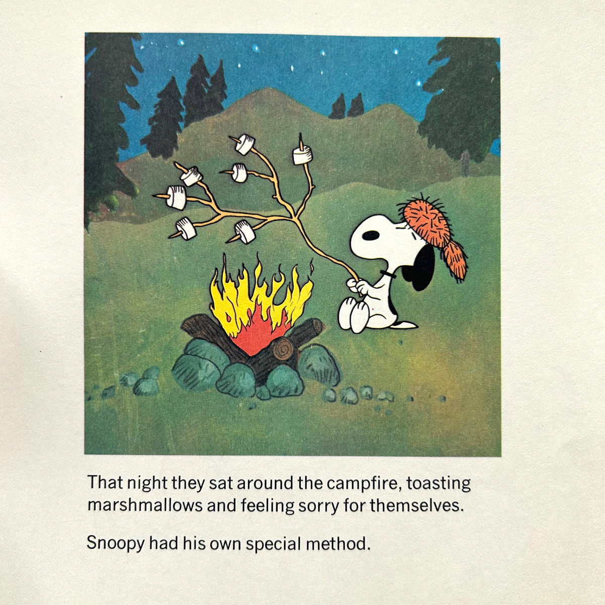 It Was a Short Summer Charlie Brown