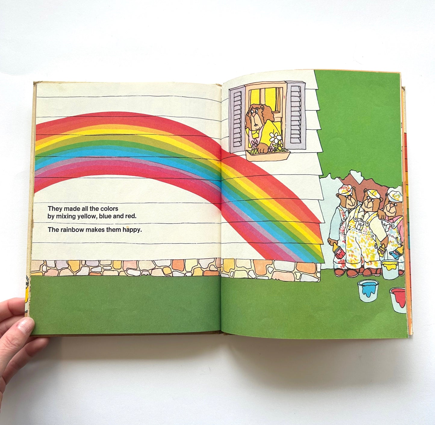 The Strawberry Book of Colors