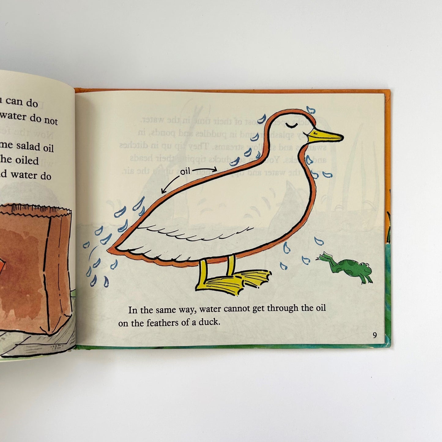 Ducks Don't Get Wet