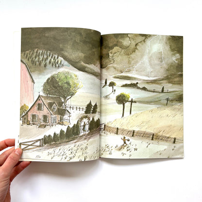 The Storm Book