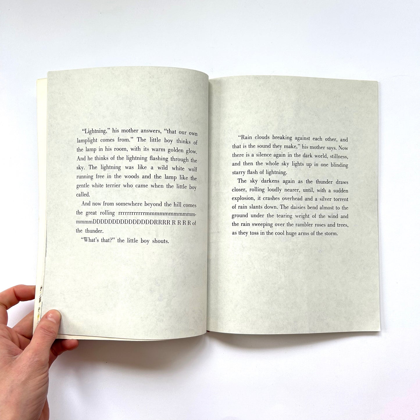 The Storm Book