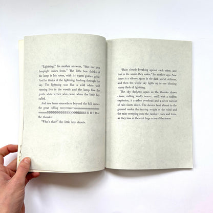 The Storm Book