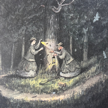 The Adventures of Madalene and Louisa