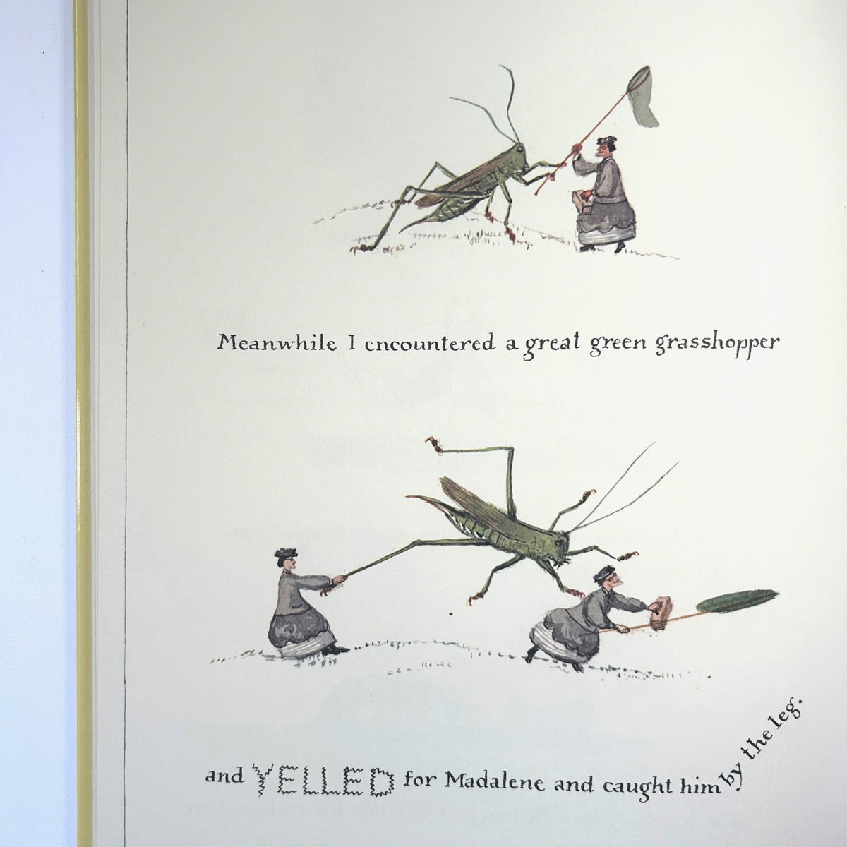The Adventures of Madalene and Louisa