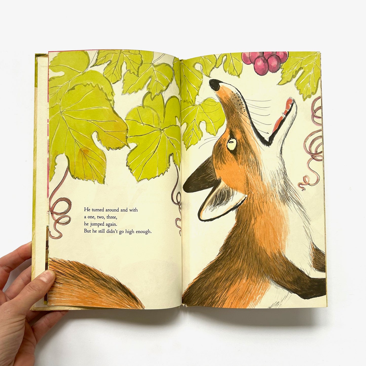 Three Aesop Fox Fables