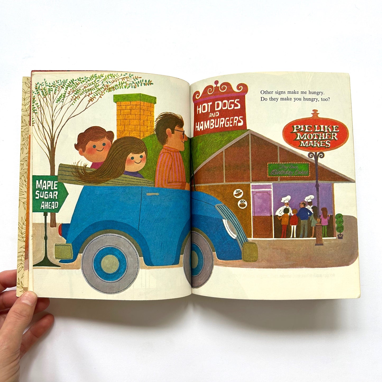 Never Pat a Bear: A Book About Signs
