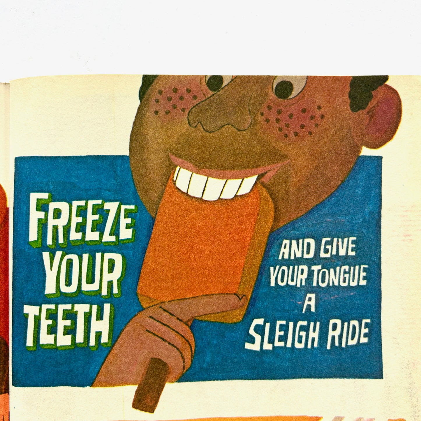Never Pat a Bear: A Book About Signs
