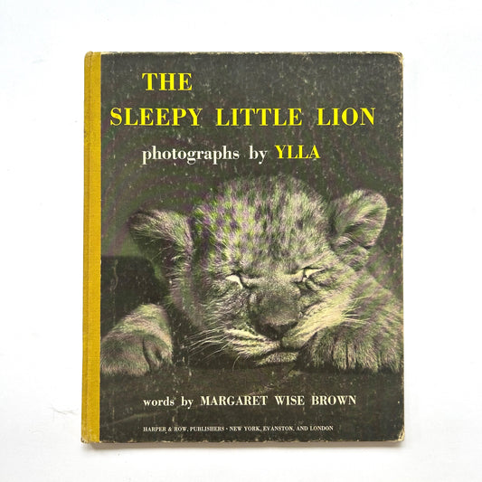 The Sleepy Little Lion