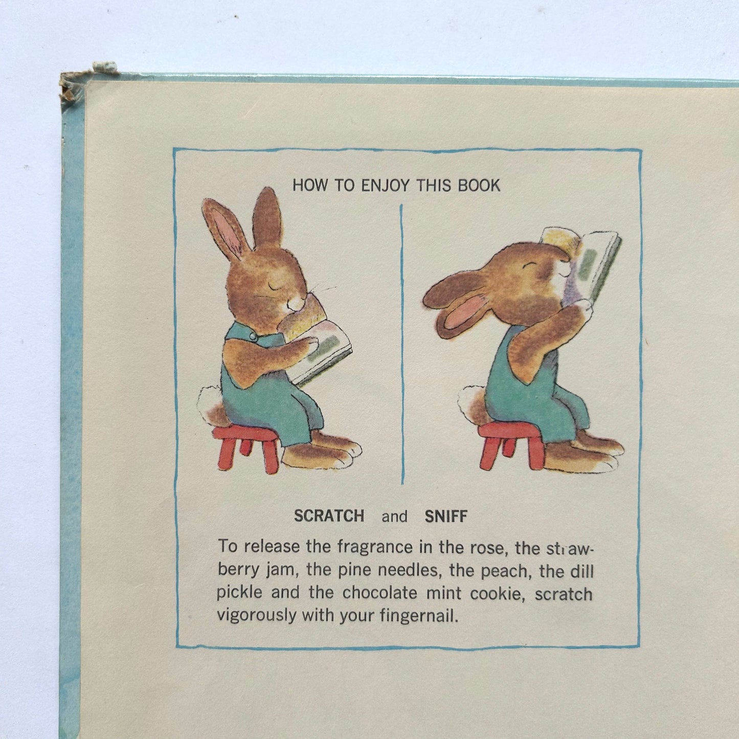 Little Bunny Follows His Nose