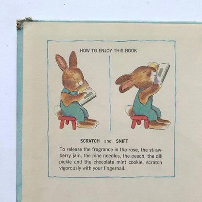 Little Bunny Follows His Nose
