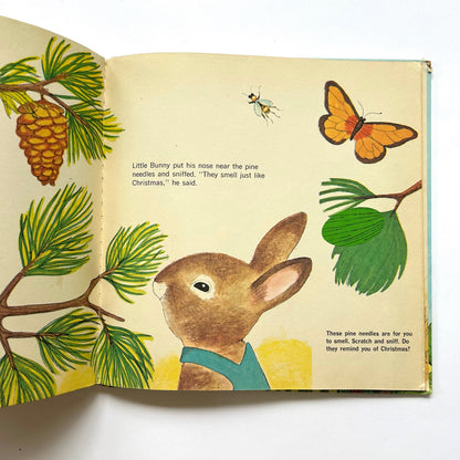 Little Bunny Follows His Nose