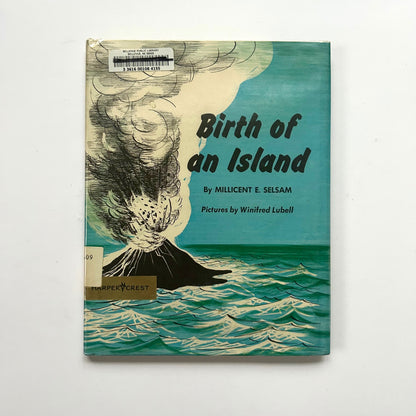 Birth of an Island