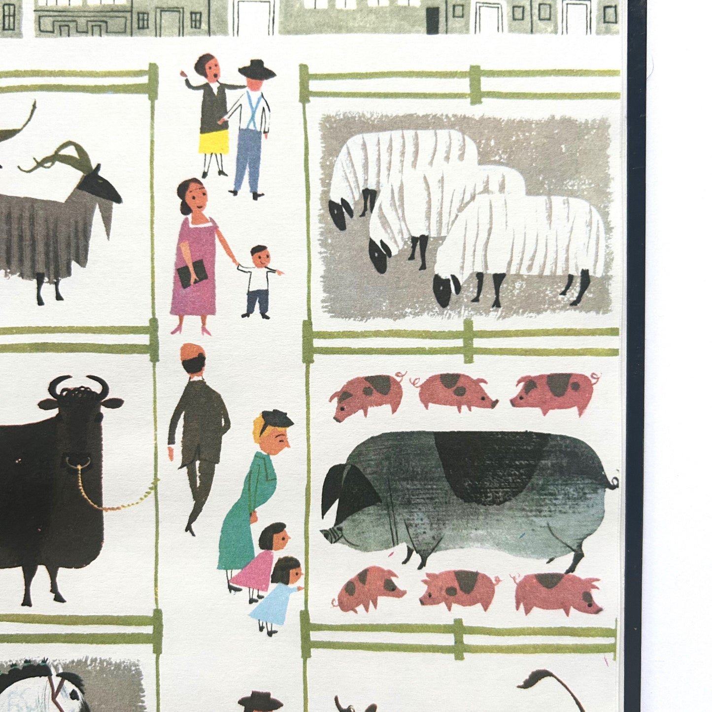 The Animal Fair