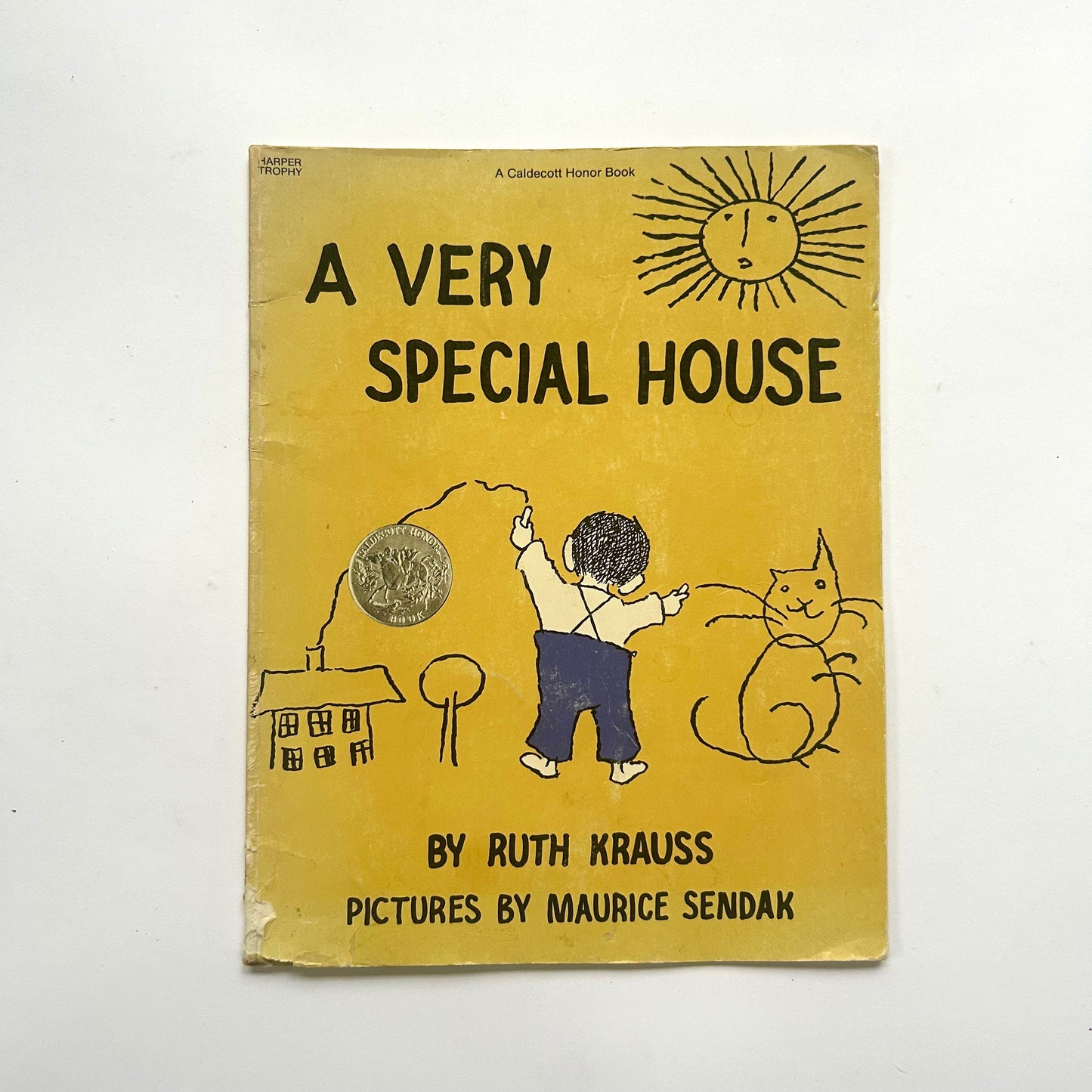 A Very Special House